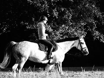 Horse walking on grassy field