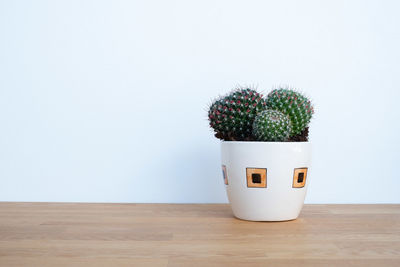 Potted plant on table at home