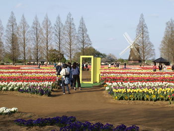 Rear view of people walking in park