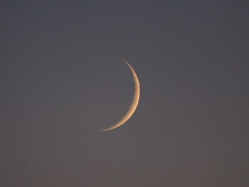 Low angle view of half moon against sky at night