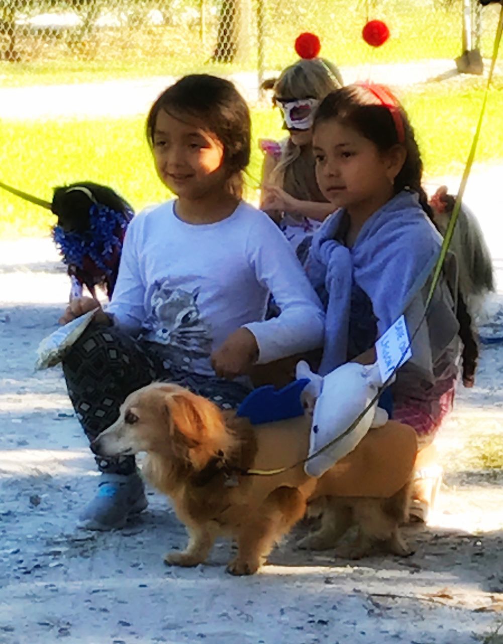 FRIENDS SITTING ON DOG WHILE LOOKING AT CAMERA