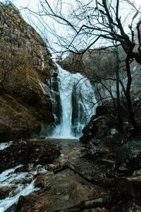 Scenic view of waterfall in forest