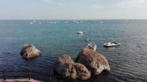 Swans in sea against sky