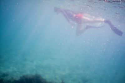 Close-up of swimming underwater