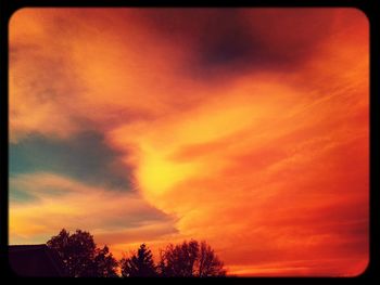 Silhouette of trees at sunset