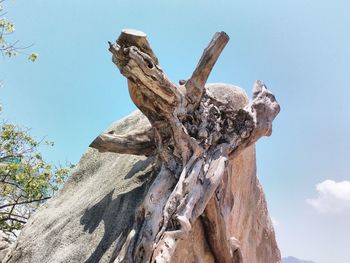 Low angle view of statue on tree against blue sky