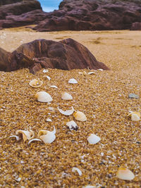 Pebbles on sand at beach