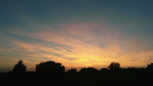 Silhouette trees against sky during sunset