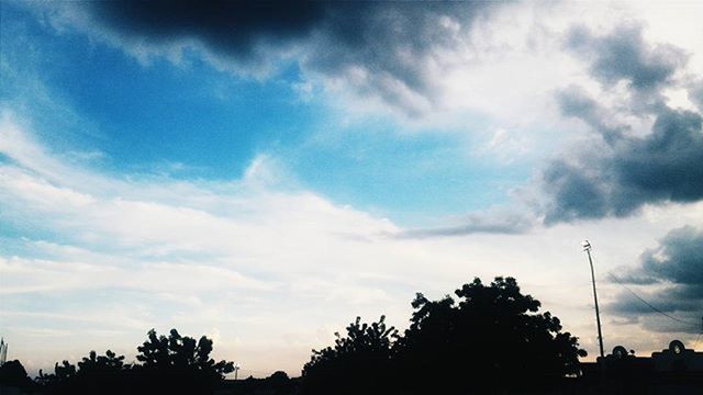 tree, silhouette, sky, low angle view, cloud - sky, beauty in nature, tranquility, nature, scenics, cloud, cloudy, tranquil scene, growth, sunset, dusk, outdoors, street light, no people, high section, outline