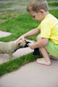 Cute boy playing with puppy while crouching at lawn