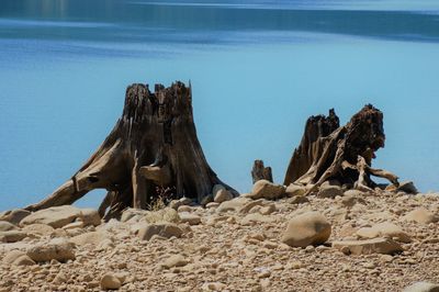 Rock formation on beach against sky