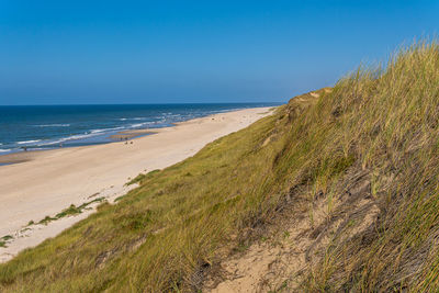 Scenic view of beach against clear blue sky