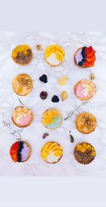 High angle view of fruits against white background