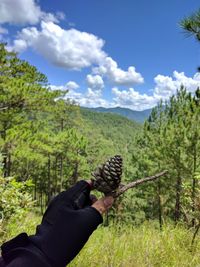 Cropped hand holding pine cone against tree mountain