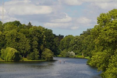Scenic view of river amidst trees against sky