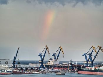 Cranes at sunset