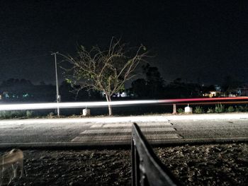 Illuminated trees at night