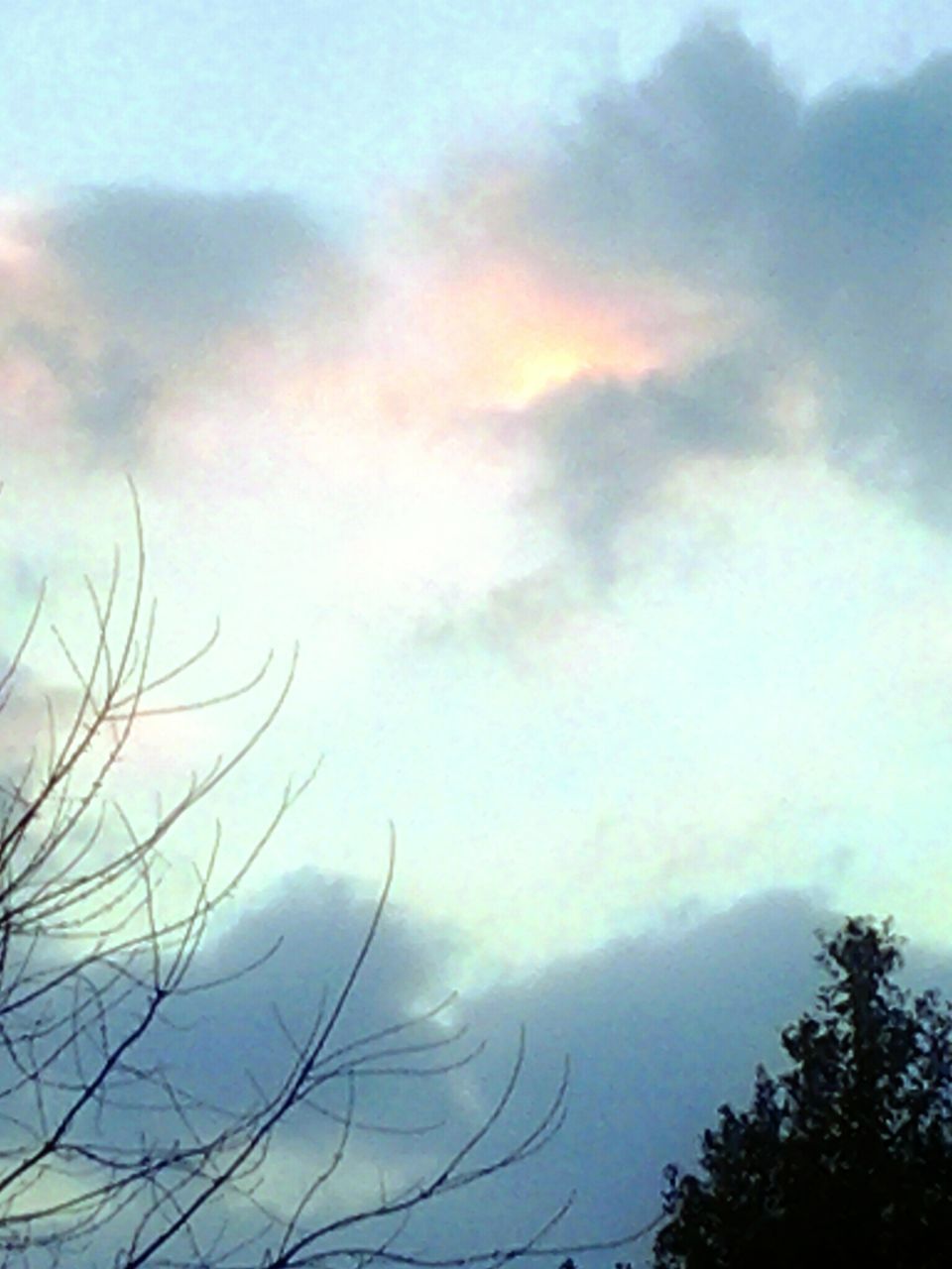 sky, tranquility, cloud - sky, beauty in nature, scenics, tranquil scene, nature, low angle view, tree, silhouette, cloudy, cloud, bare tree, growth, idyllic, outdoors, branch, no people, sunset, dusk