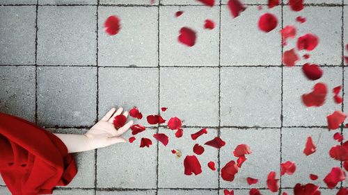 Cropped hand of woman catching red rose petals falling on footpath