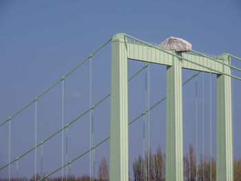 Low angle view of bird perching on metal structure against sky