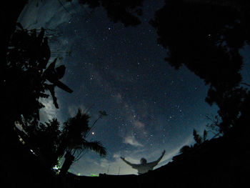 Low angle view of silhouette trees against sky at night