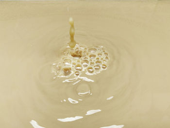High angle view of bubbles in water