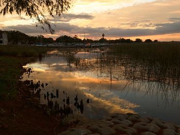 Scenic view of sunset