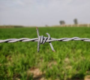 Close-up of barbed wire fence on field