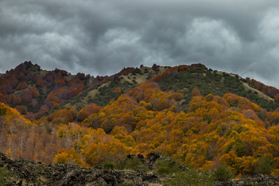 Scenic view of mountain against sky during autumn