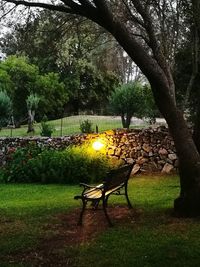 Trees and table in park