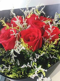 Close-up of red roses