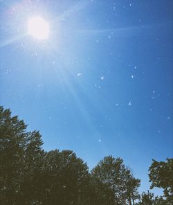 Low angle view of trees against blue sky