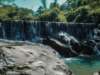 Scenic view of waterfall in forest