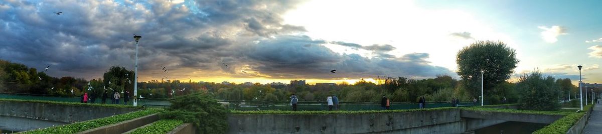 Panoramic view of trees against sky