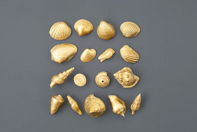 Gold coloured seashells collection.