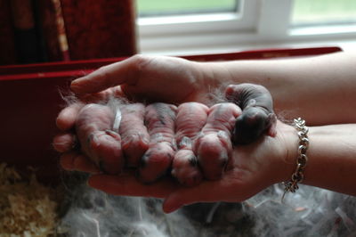 Close-up of woman holding hands