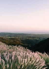 Scenic view of landscape against clear sky during sunset