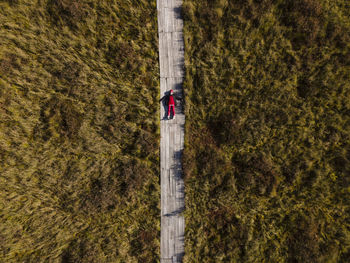 Woman lies on an ecological trail in a swamp in belarus aerial view