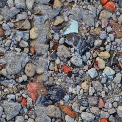 High angle view of stones on stone wall