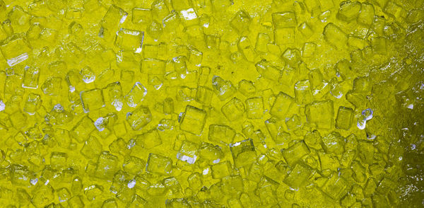 Close-up of yellow leaf over water against plants