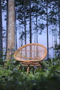 Wicker chairs against a backdrop of trees and weeds