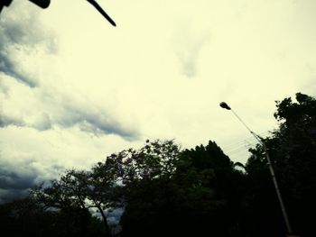 Low angle view of silhouette bird flying against sky