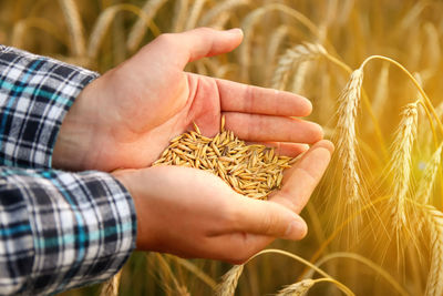 agriculture