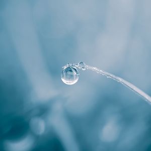 Drop of water on the grass leaf in rainy days in springtime