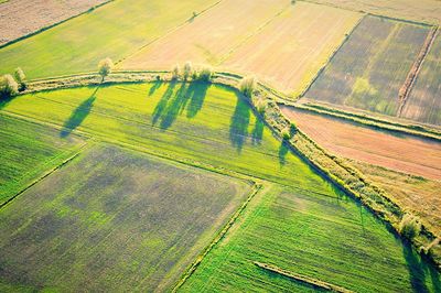 High angle view of agricultural field