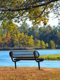 Empty bench in park