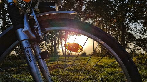 View of bicycle in park