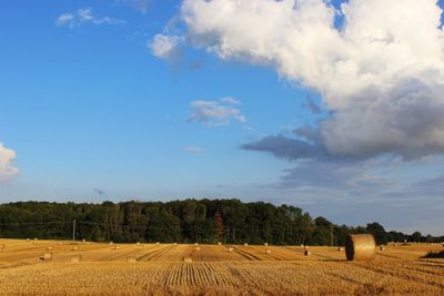 Scenic view of field against cloudy sky