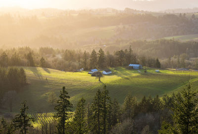 Scenic view of landscape against sky