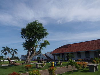 Trees and houses against sky